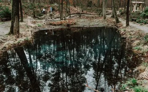 Spokojne źródełko objawienia w lesie, odbijające drzewa. W oddali widać kamienne schody i figurę Matki Boskiej.