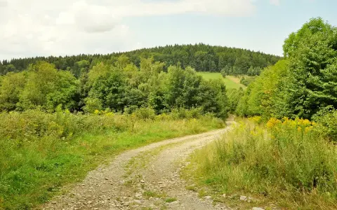 Kręta droga przez zielone wzgórza, w oddali las i skopiec szczyt.