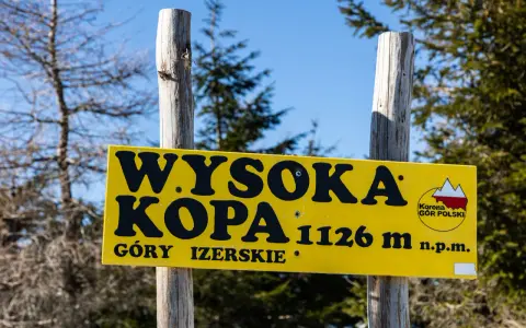 Żółta tablica informuje o szczycie Wysoka Kopa, najwyższym szczycie Gór Izerskich, na wysokości 1126 m n.p.m.