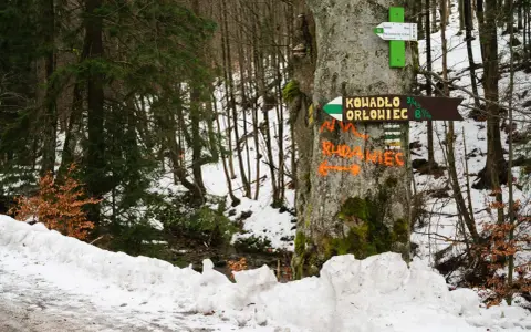 Znak szlaku wskazuje drogę na Kowadło i Orłowiec. W oddali widać zimowy las i zasypany śniegiem szlak.