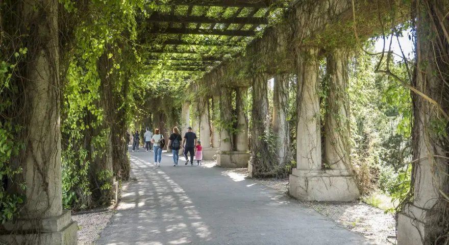 Spacer po Pergoli w Ogrodzie Botanicznym we Wrocławiu. Idealne miejsce na darmowe atrakcje Wrocław, gdzie można poczuć bliskość natury.