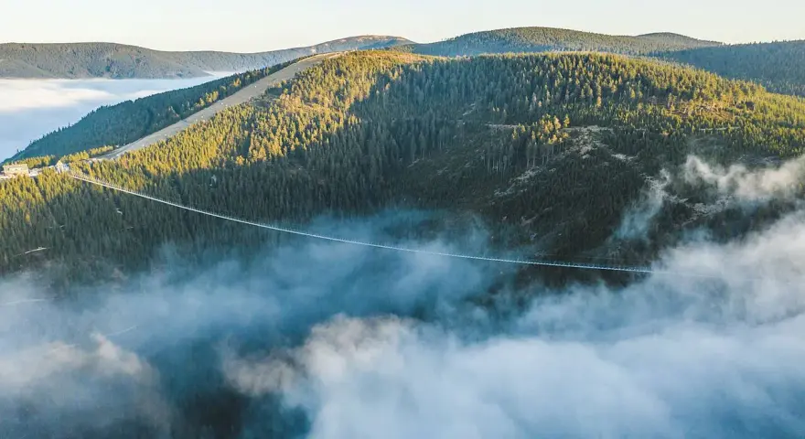 Most wiszący w Dolní Moravě przecina gęsty las, unosząc się nad morzem mgieł.