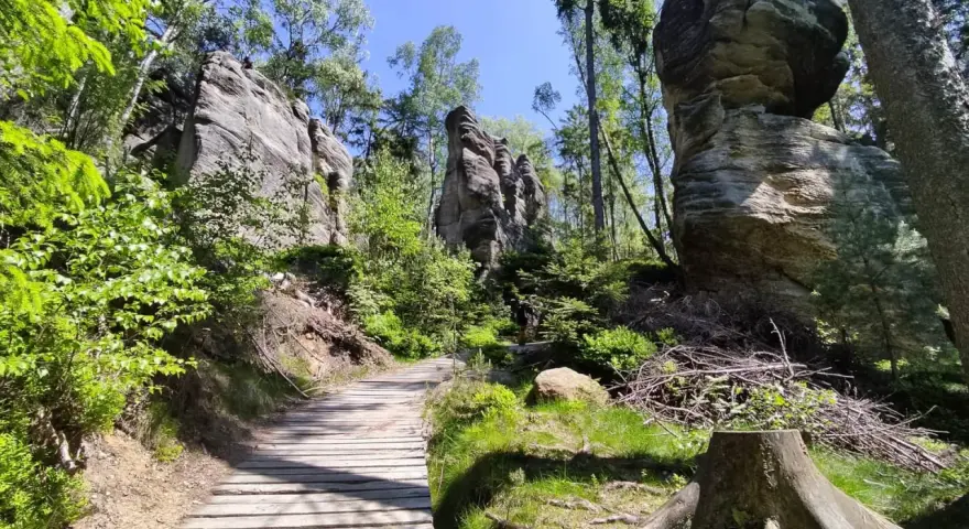 Drewniana ścieżka prowadzi przez skalne miasto w Górach Stołowych Czech. Majestatyczne formacje skalne otoczone zielenią.