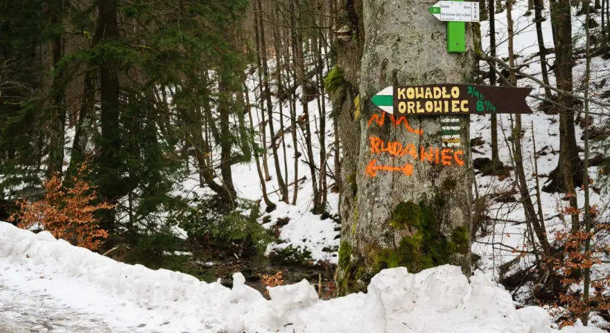 Znak szlaku wskazuje drogę na Kowadło i Orłowiec. W oddali widać zimowy las i zasypany śniegiem szlak.