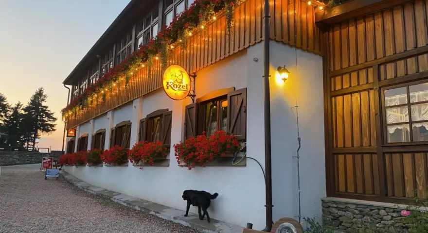 Urokliwe schronisko Orzeł z czerwonymi pelargoniami i girlandą światełek. Czarny piesek spaceruje przed budynkiem.