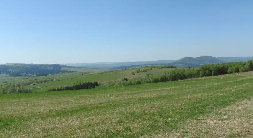 Zielone wzgórza i lasy rozciągają się aż po horyzont. Idealne miejsce na przymiarki do punktu widokowego.